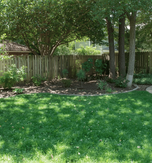 How to Landscape a Backyard on a Small Budget