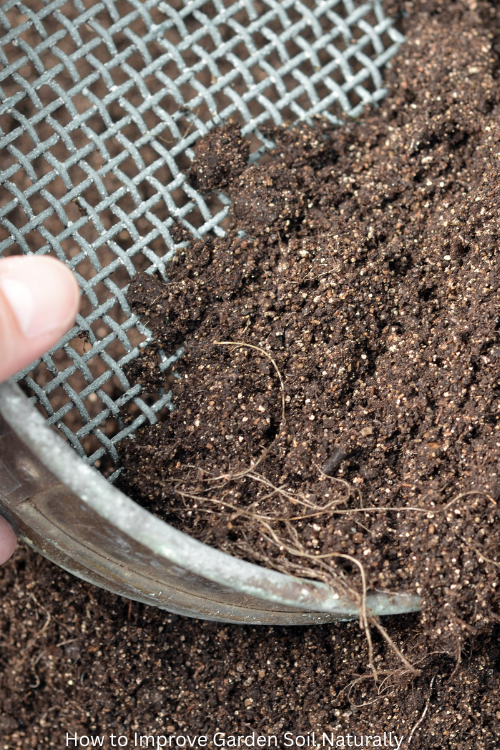 How to Improve Garden Soil Naturally