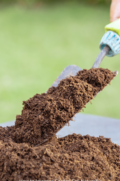How to Improve Garden Soil Naturally
