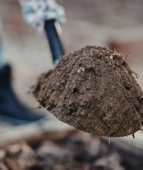 How to Improve Garden Soil Naturally