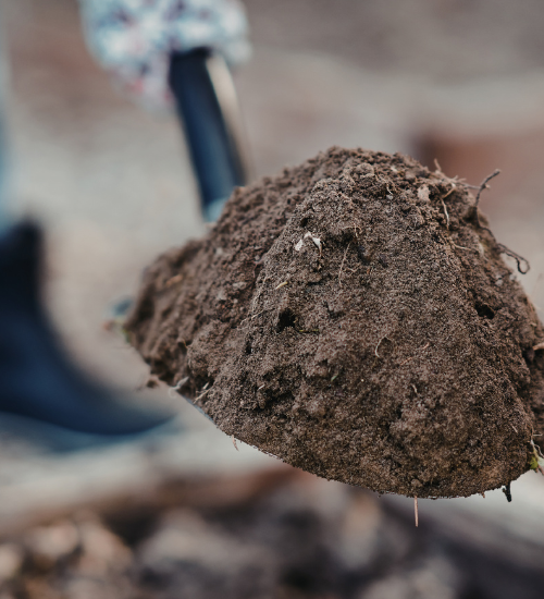 How to Improve Garden Soil Naturally