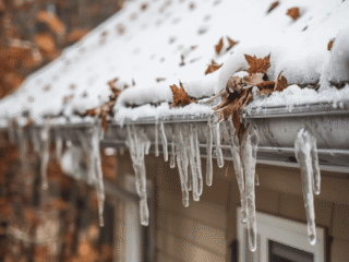 How to Prepare Your Landscape for Winter