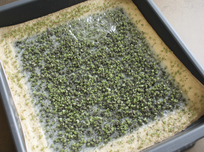 How to Grow Microgreens Without Soil