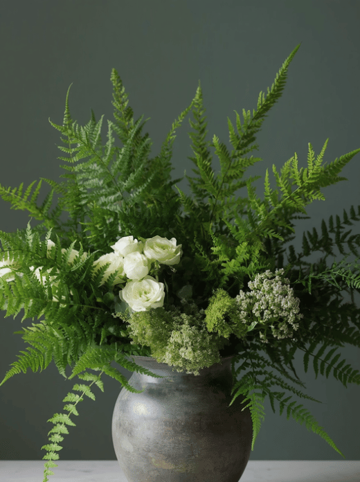 Ferns

Ferns are among the most dependable foliage plants for shade. Their fronds add movement, texture, and a natural woodland feeling.

Use fern foliage to:

Frame the outside of a bouquet
Fill gaps beneath taller flowers
Create a loose, asymmetrical shape
Add contrast to rounded blooms

Check the exact plant before using it, especially if the arrangement will be around pets or children.
