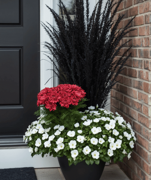 Fall Flower Container Combinations for a Porch