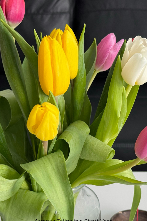 How to Arrange Tulips in a Short Vase