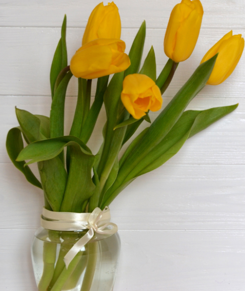 How to Arrange Tulips in a Short Vase