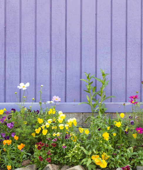 Divide Perennial Flowers