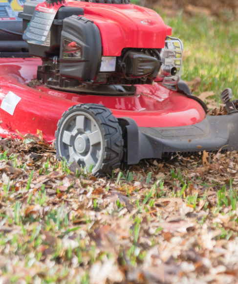 How to mulch leaves with a lawn mower