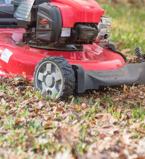 How to mulch leaves with a lawn mower