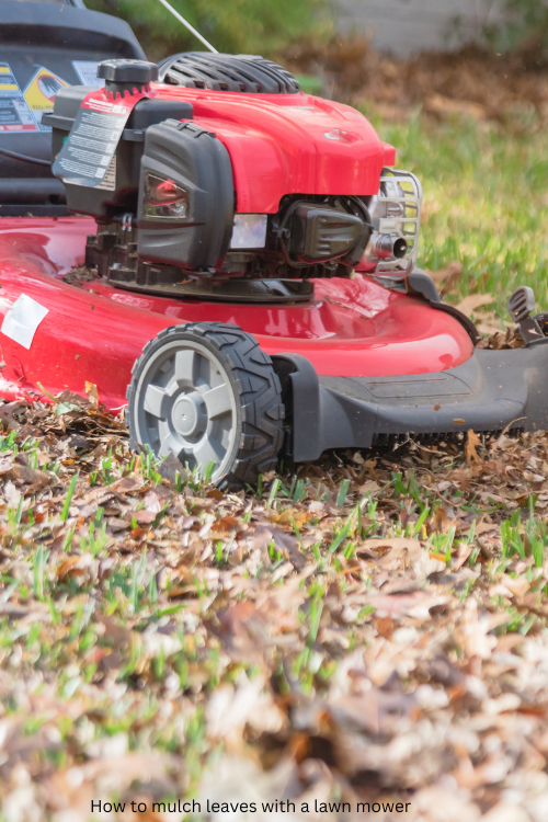 How to mulch leaves with a lawn mower