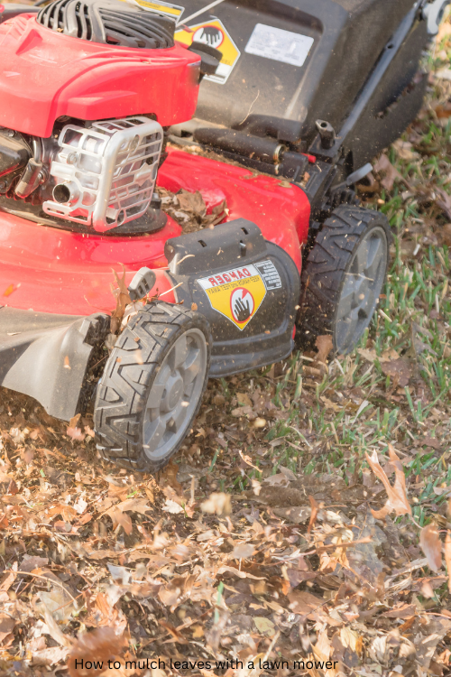 How to mulch leaves with a lawn mower