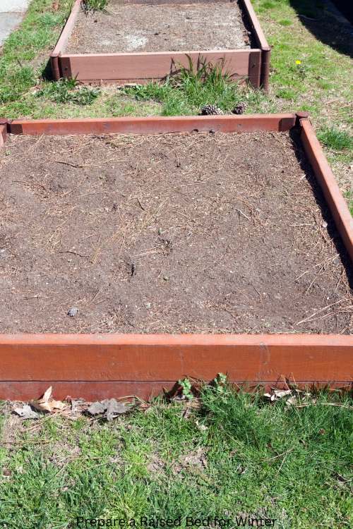 Prepare a Raised Bed for Winter