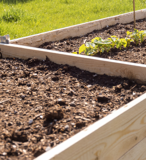 How to Prepare a Raised Bed Garden for Winter