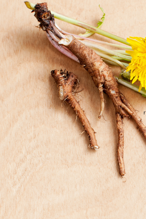 How to Plant Bare-Root Perennial Flowers in Spring