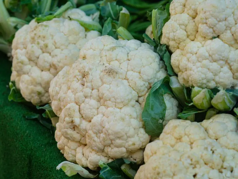 Cauliflower Black Spots: What to Know