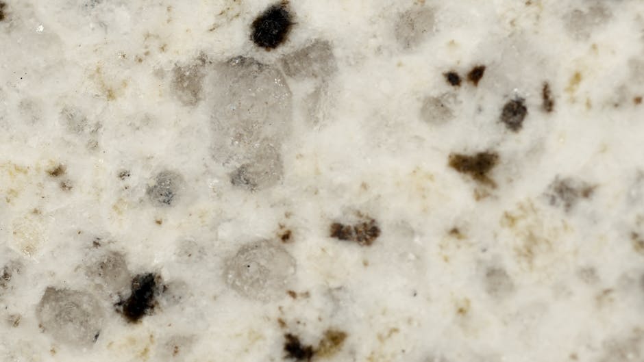 Close-up image of cauliflower with black spots for reference